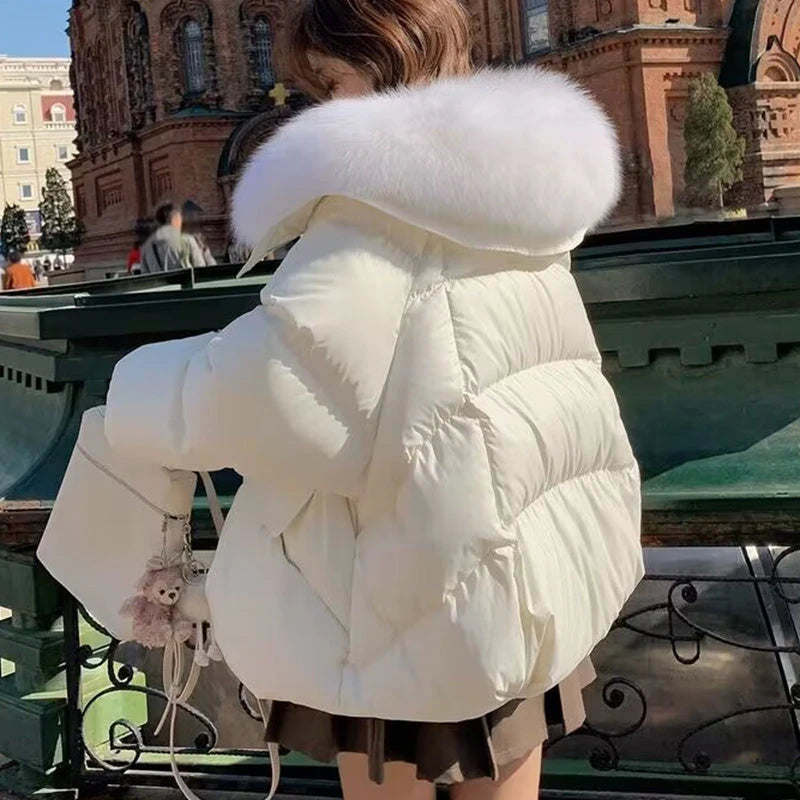 Down Cotton-padded Jacket Women's Short Fur Collar Thickened Coat Winter Clothing 